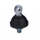 SUPER CARBONIUM 27  SIRIO